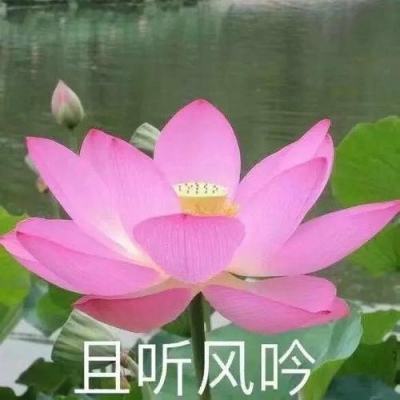 蔡海燕｜以《奥登传》邂逅“反传记”的奥登 | 上海书评